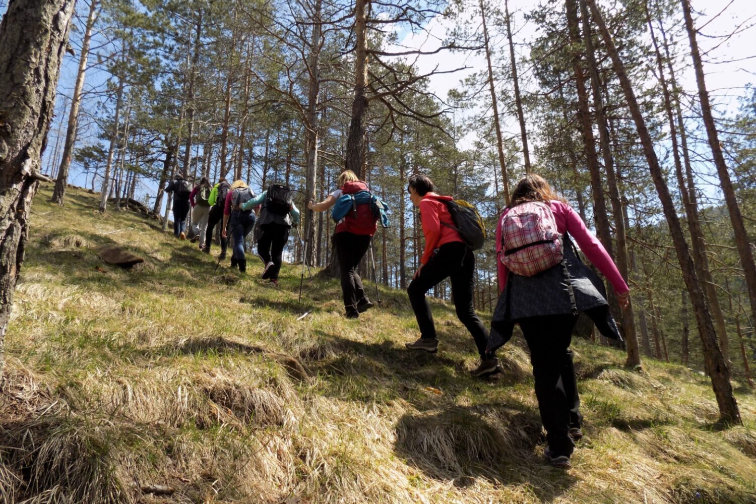 Divcibare Western Serbia